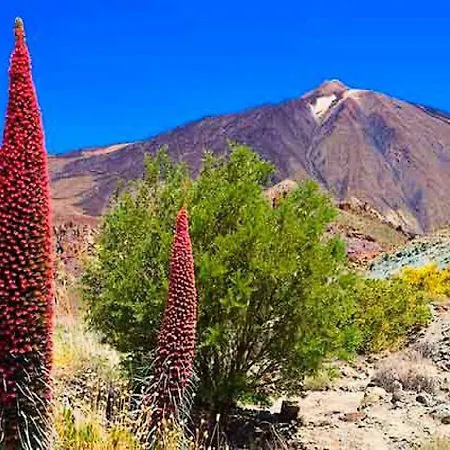 Karma Paraíso Tenerife Sur Apartamento